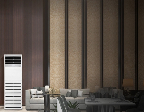 Tổng hợp những ưu điểm nổi bật của máy lạnh tủ đứng LG